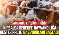 Samsunlu çiftçiler müjde! ‘Kırsalda Bereket, Hayvancılığa Destek Proje' başvuruları başladı