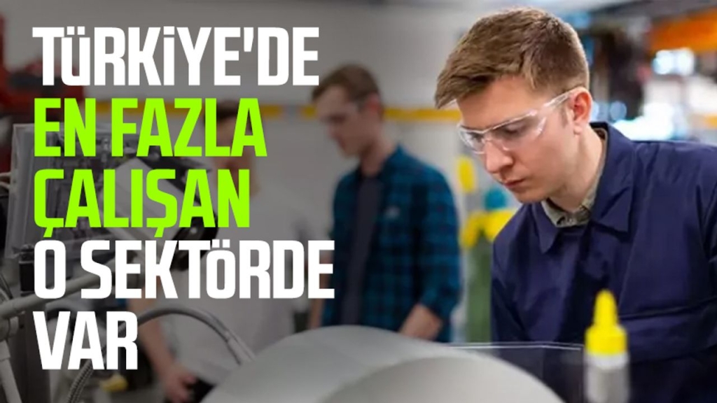 Türkiye'de en fazla çalışan o sektörde var