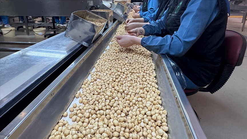 2,5 milyar dolar ihracat geliri hedefleniyor