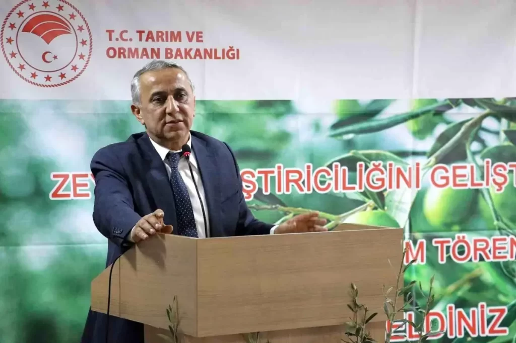 Samsun