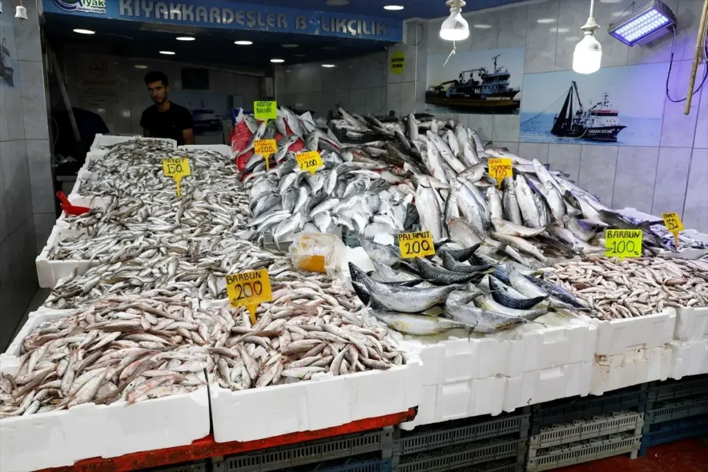 Av Yasağının Kalkmasıyla Balık Tezgahlarında Bolluk