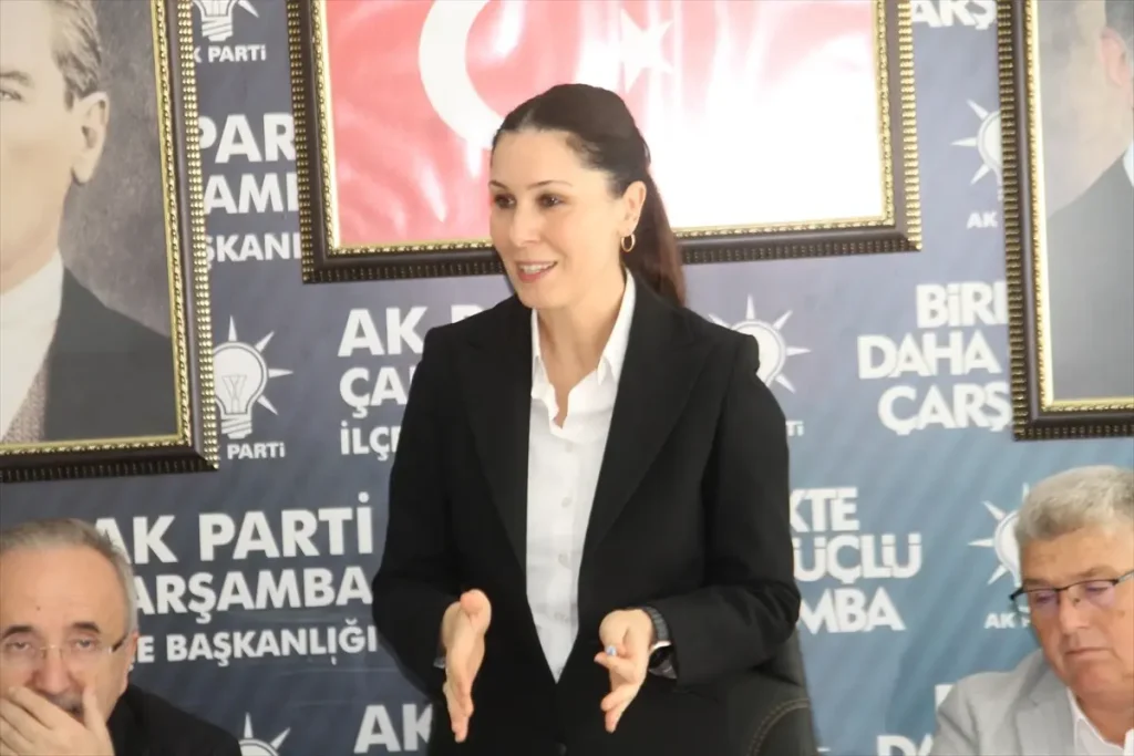 AK Parti MKYK Üyesi Karaaslan