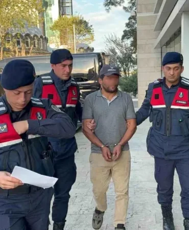 Ağaç kesimi sırasında komşusunun ölümüne sebep olan şahıs tutuklandı