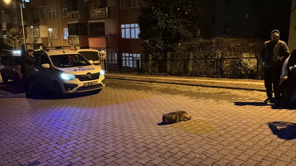 Samsun