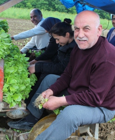 Bafra Ovası