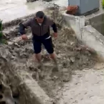 Güvenlik Görevlisi Kedi Kurtardı