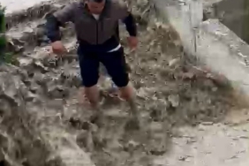 Güvenlik Görevlisi Kedi Kurtardı