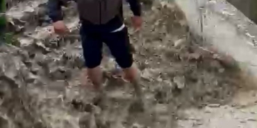 Güvenlik Görevlisi Kedi Kurtardı