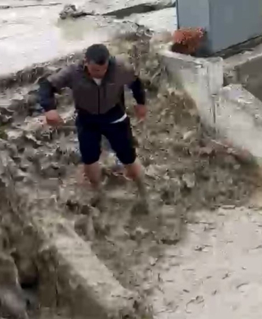 Güvenlik Görevlisi Kedi Kurtardı