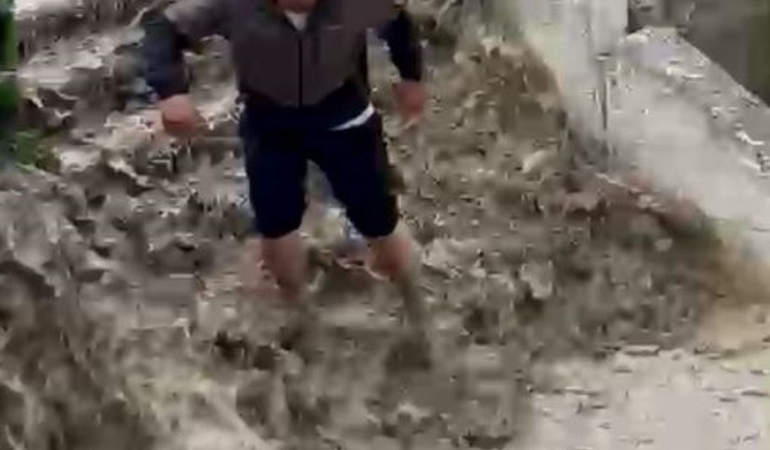 Güvenlik Görevlisi Kedi Kurtardı