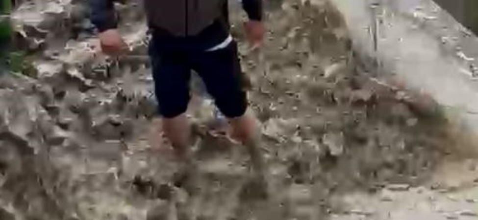 Güvenlik Görevlisi Kedi Kurtardı