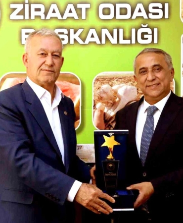 Hasan Altun