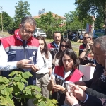 Samsun