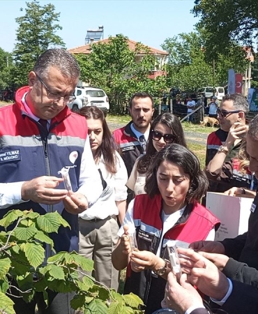 Samsun