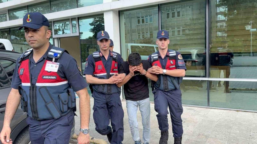 Televizyon hırsızlığı zanlısı, jandarma ekiplerince yakalandı