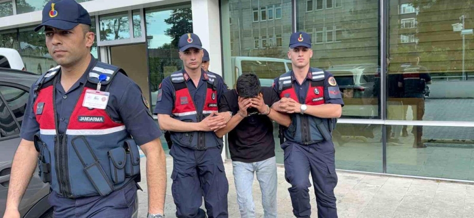 Televizyon hırsızlığı zanlısı, jandarma ekiplerince yakalandı