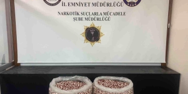 Tırın yatak bölümünde 129 bin 500 uyuşturucu hap ele geçti