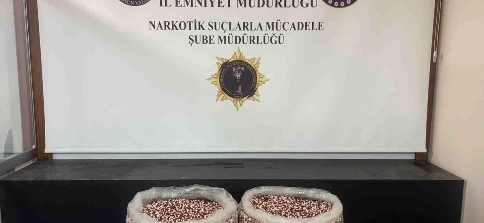 Tırın yatak bölümünde 129 bin 500 uyuşturucu hap ele geçti