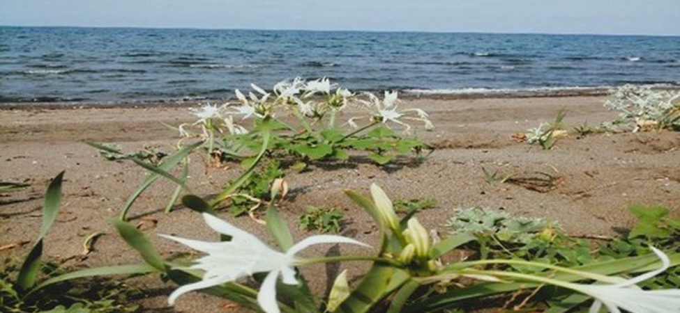Çevre Kanunu’nu ihlal eden kişiye 699 bin TL idari para cezası