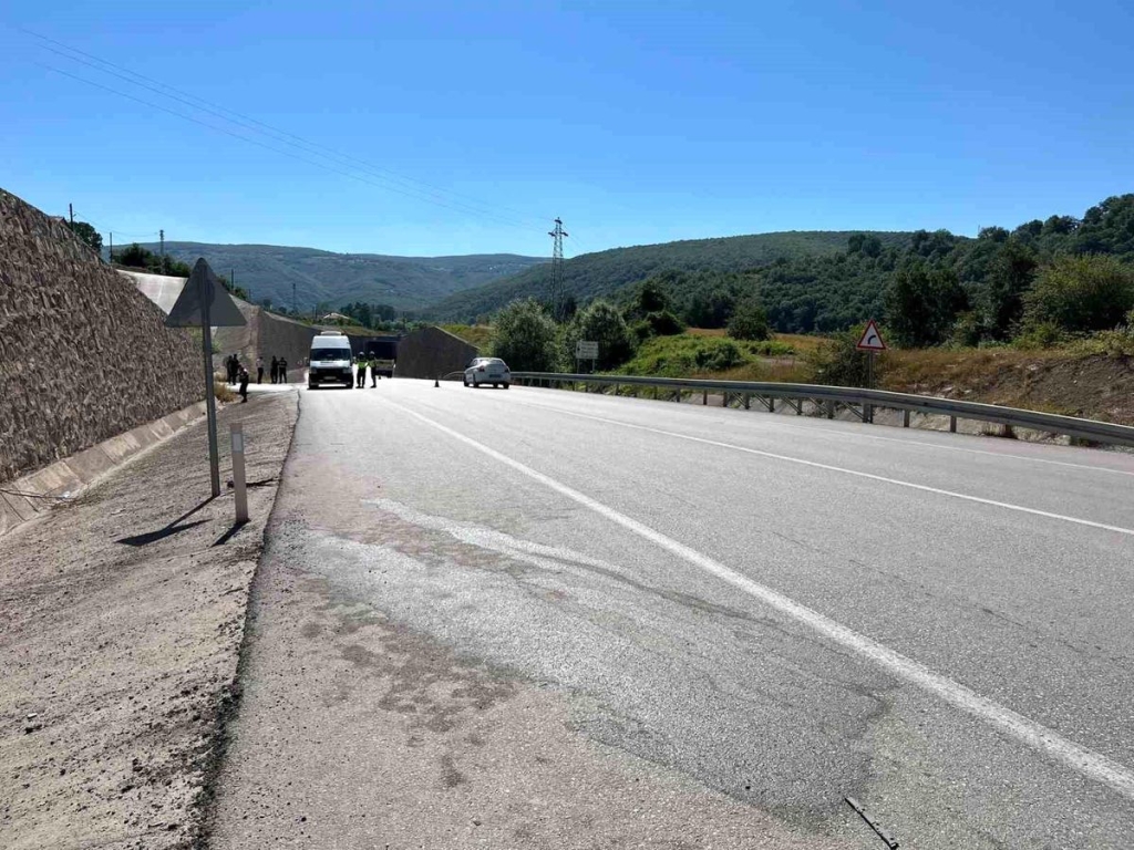 Kavak