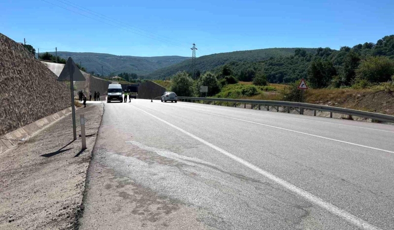 Kavak