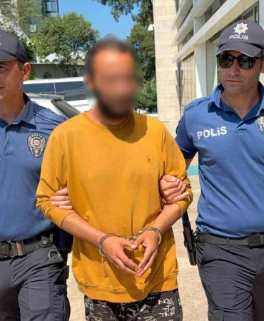 Kediye tekme atan şahıs tutuklandı: