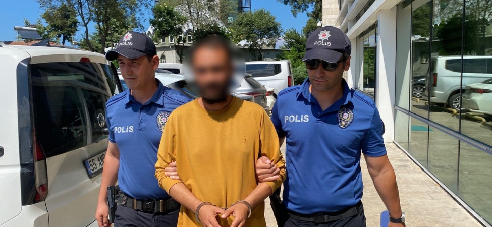Kediye tekme atan şüpheli yakalandı