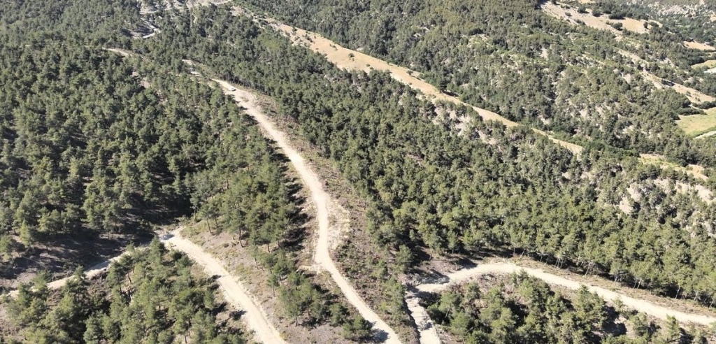 Orman köylülerine endüstriyel odundan 1 milyar TL’lik katkı