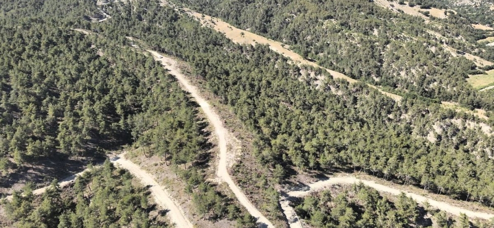Orman köylülerine endüstriyel odundan 1 milyar TL’lik katkı