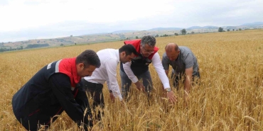 Samsun’da dolu afetinde 40 bin dekar tarım arazisi olumsuz etkilendi