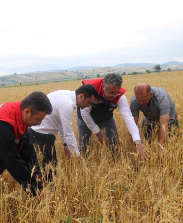 Samsun’da dolu afetinde 40 bin dekar tarım arazisi olumsuz etkilendi