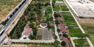 Samsun