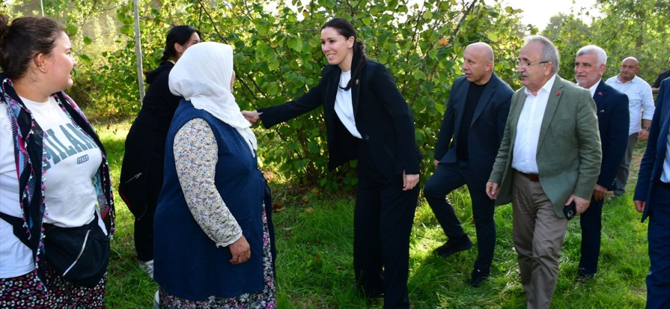 AK Parti