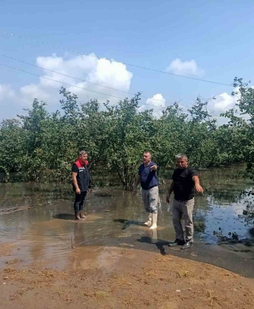 Çarşamba