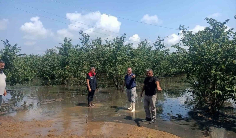 Çarşamba