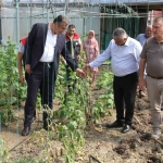 Çarşamba