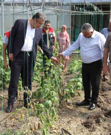 Çarşamba