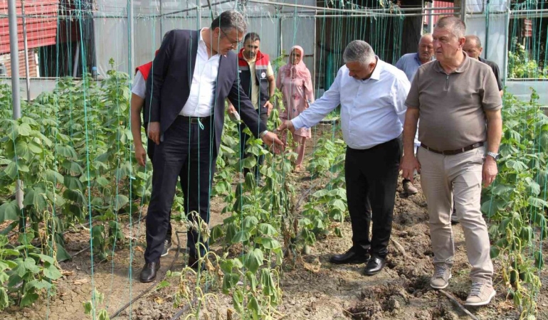 Çarşamba