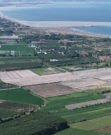Çarşamba