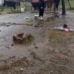 Fındık İşçilerinin Çadırlarını Sel Vurdu