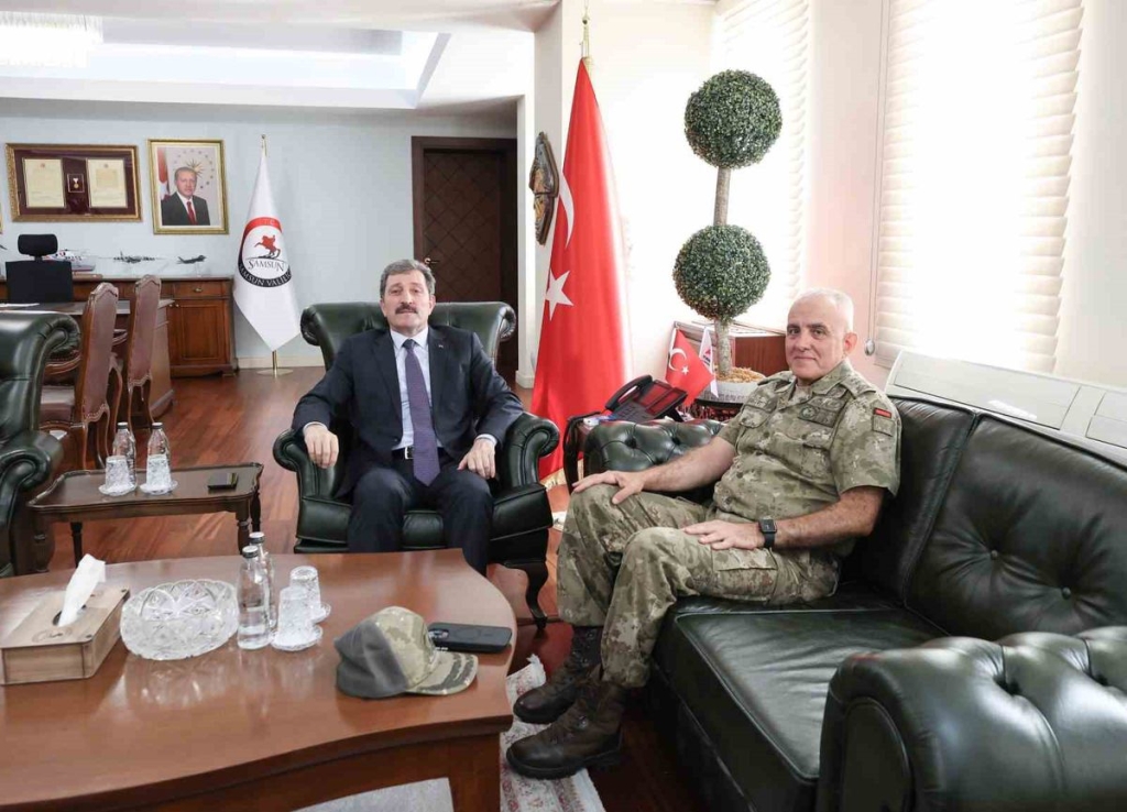 Gazi Tümgeneral Davut Ala, Samsun Valisi