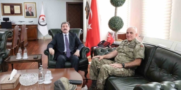 Gazi Tümgeneral Davut Ala, Samsun Valisi