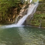 Kavak