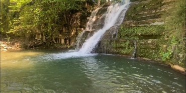 Kavak