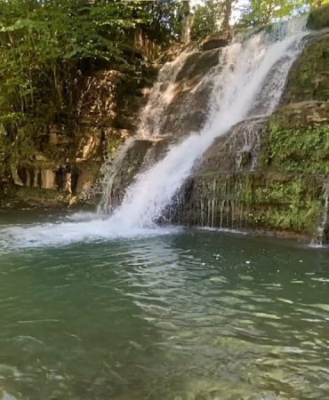 Kavak