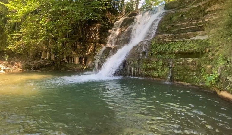Kavak