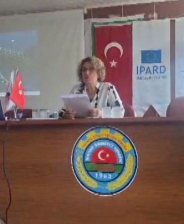 Samsun