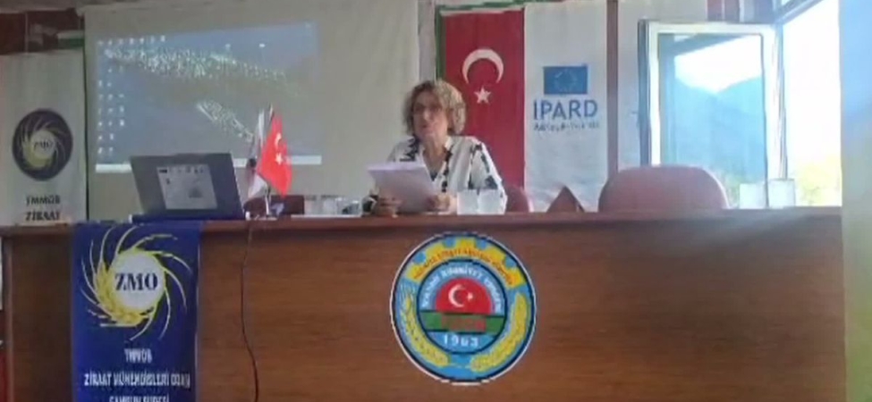 Samsun