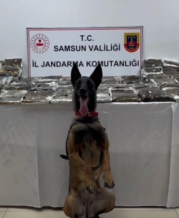 Samsun’da tıra gizlenmiş 132 kilo toz esrar ele geçirildi