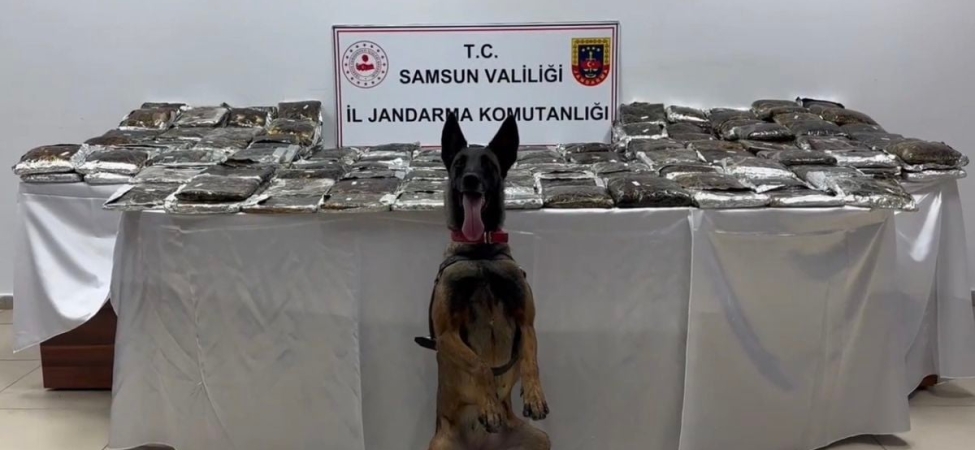 Samsun’da tıra gizlenmiş 132 kilo toz esrar ele geçirildi
